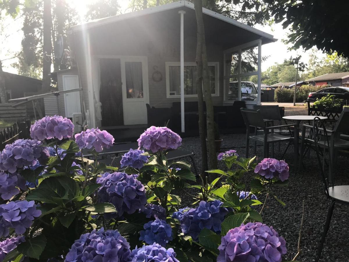 גיל Vakantiehuisje De Waterhoek מראה חיצוני תמונה