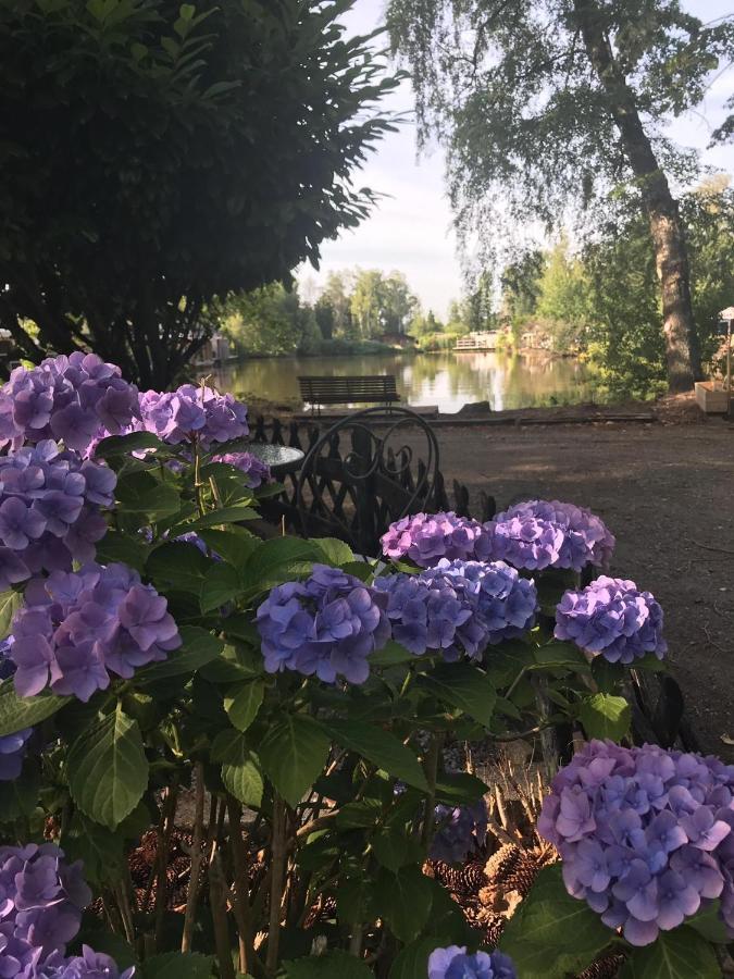 גיל Vakantiehuisje De Waterhoek מראה חיצוני תמונה